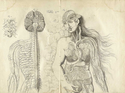 Part Four illustration