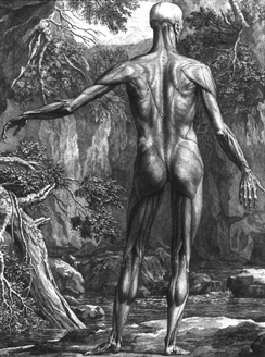 Illustration de la sixième partie